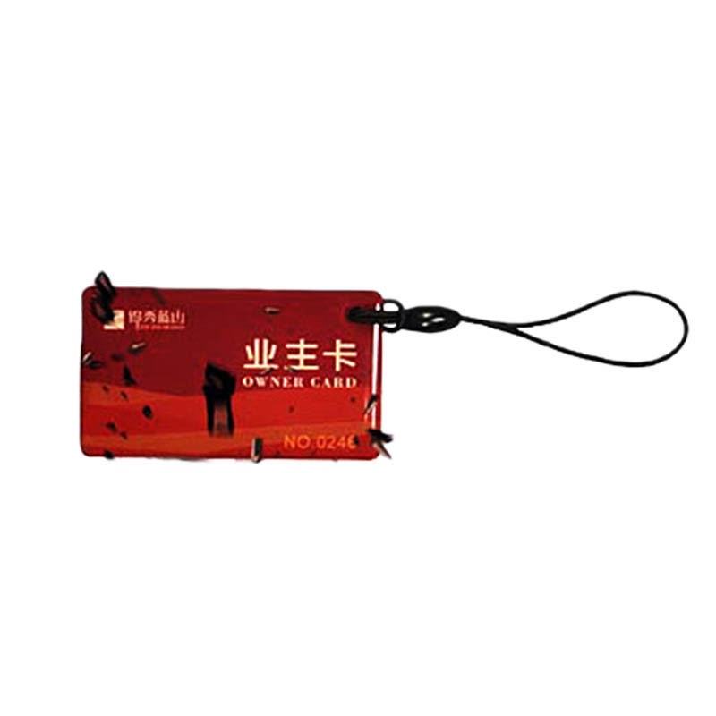 IC Epoxy Card